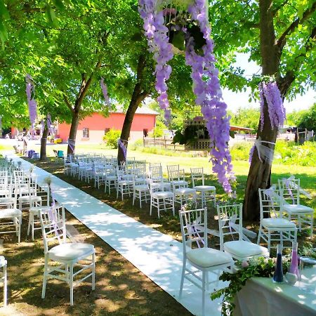 Agriturismo Corte Dei Landi Cade Dış mekan fotoğraf